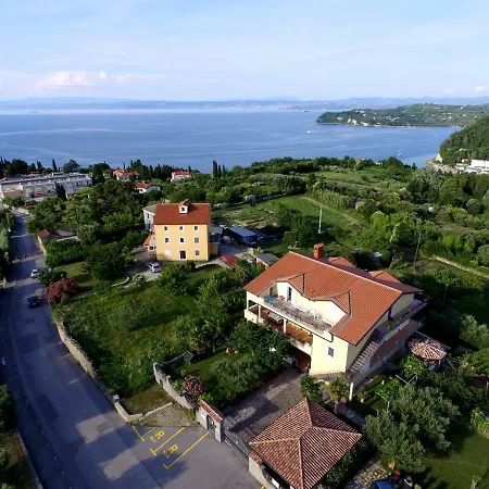 Neja Piran