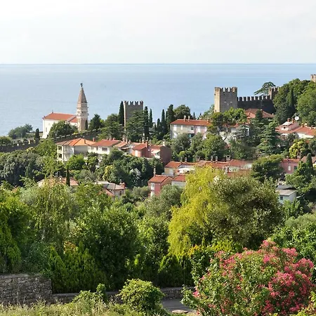 Neja Piran
